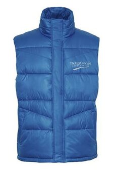 TheJoggConcept Jc Malix Bodywarmer - Royalblue