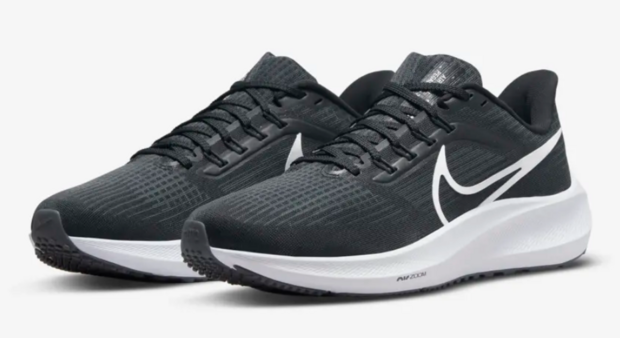 Nike Pegasus 39 Womens Black