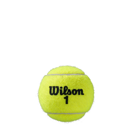 Wilson ROLAND GARROS ALL CT 4 BALL - WRT116400